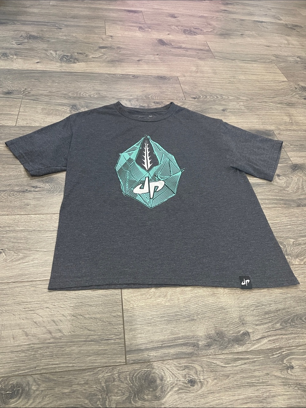 dp Short Sleeve Graphic Tee in Charcoal with Teal Accent